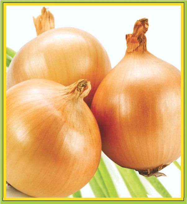 Onion Shihkar