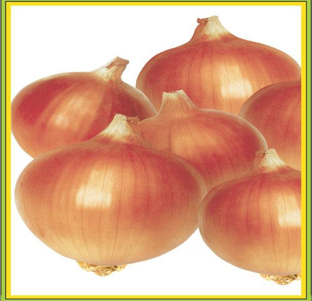 Onion Gavran